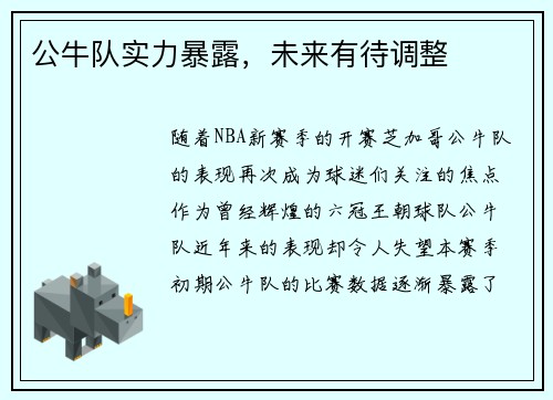 公牛队实力暴露，未来有待调整